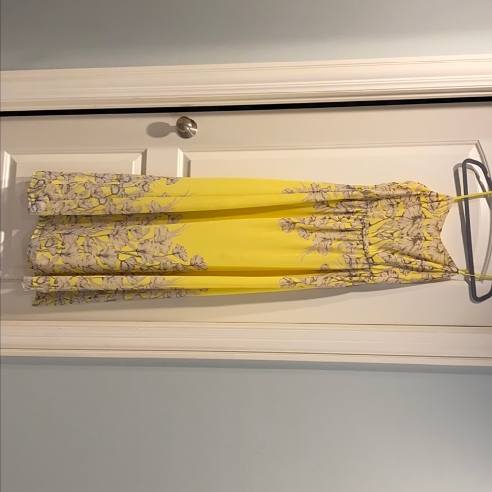 Gianna Bini Maxi dress (NWT)